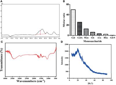 Blood-Enriching Effects and Immune-Regulation Mechanism of Steam-Processed Polygonatum Sibiricum Polysaccharide in Blood Deficiency Syndrome Mice